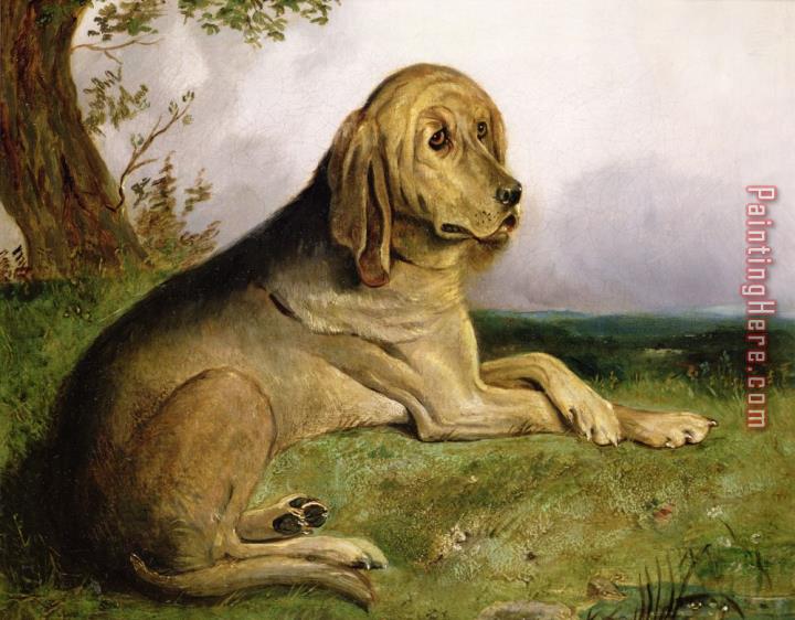 English School A Bloodhound in a Landscape